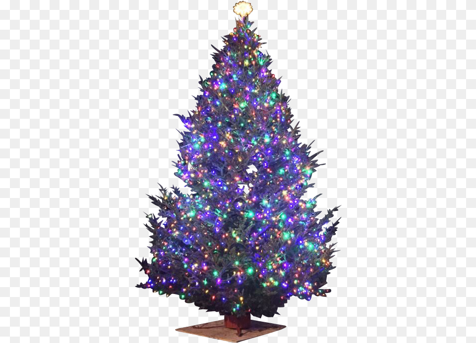 Christmas Tree Star, Christmas Decorations, Festival, Chandelier, Christmas Tree Free Png Download