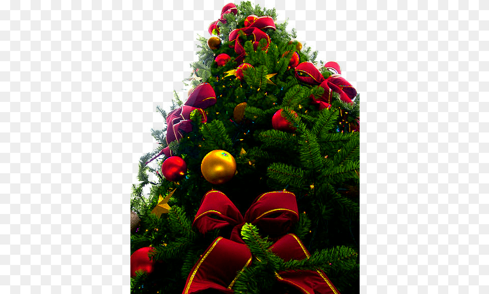 Christmas Tree Sxc Hu Transparency Blue And Yellow Christmas Tree, Plant, Christmas Decorations, Festival, Christmas Tree Png Image
