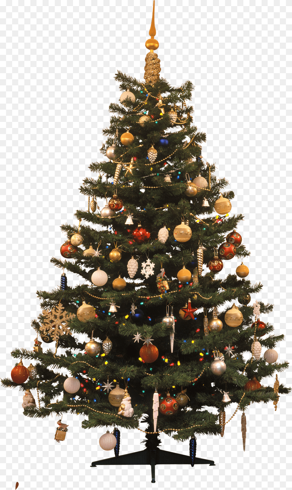 Christmas Tree Traditional Christmas Tree, Plant, Christmas Decorations, Festival, Chandelier Free Png