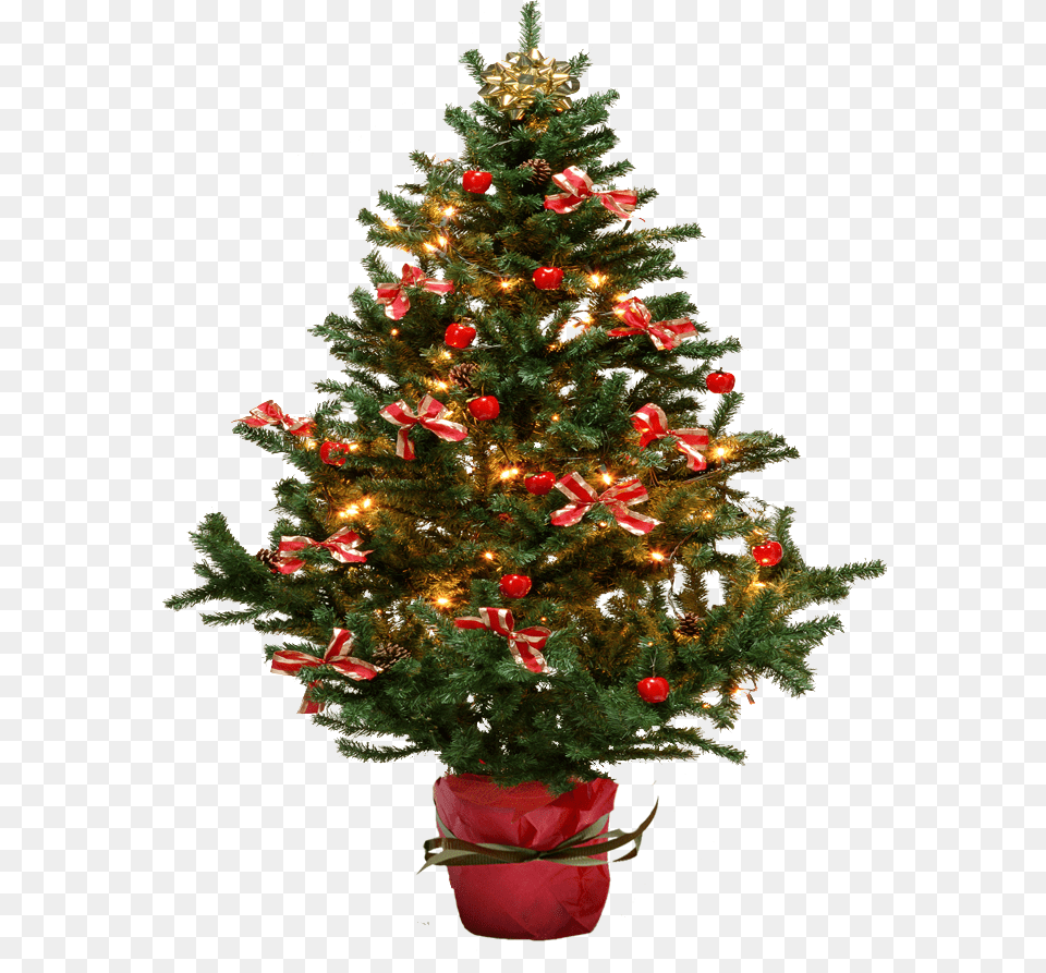 Christmas Tree Transparent Background Images Potted Christmas Tree Artificial Australia, Plant, Christmas Decorations, Festival, Christmas Tree Free Png Download