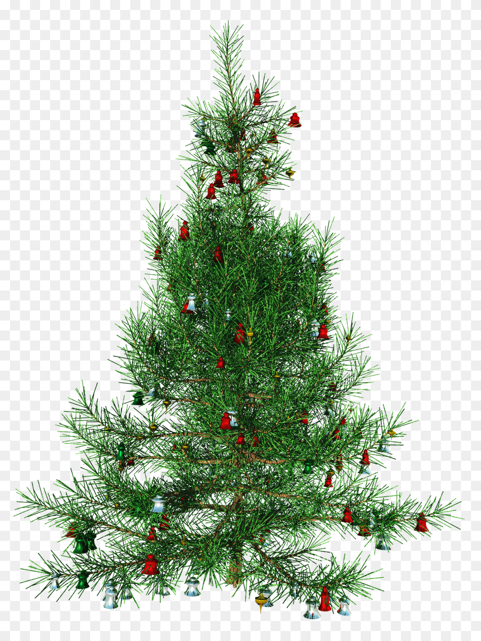 Christmas Tree Transparent Background Transparent Background Xmas Tree, Plant, Conifer, Pine, Christmas Decorations Free Png