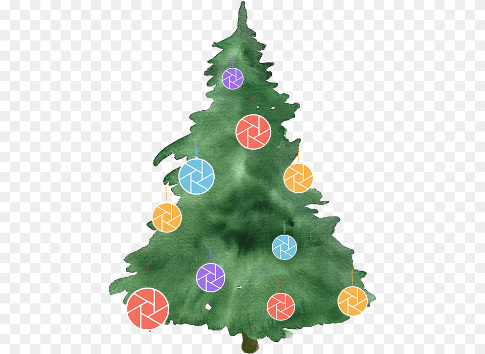 Christmas Tree Transparent Watercolor, Plant, Christmas Decorations, Festival, Baby Free Png Download