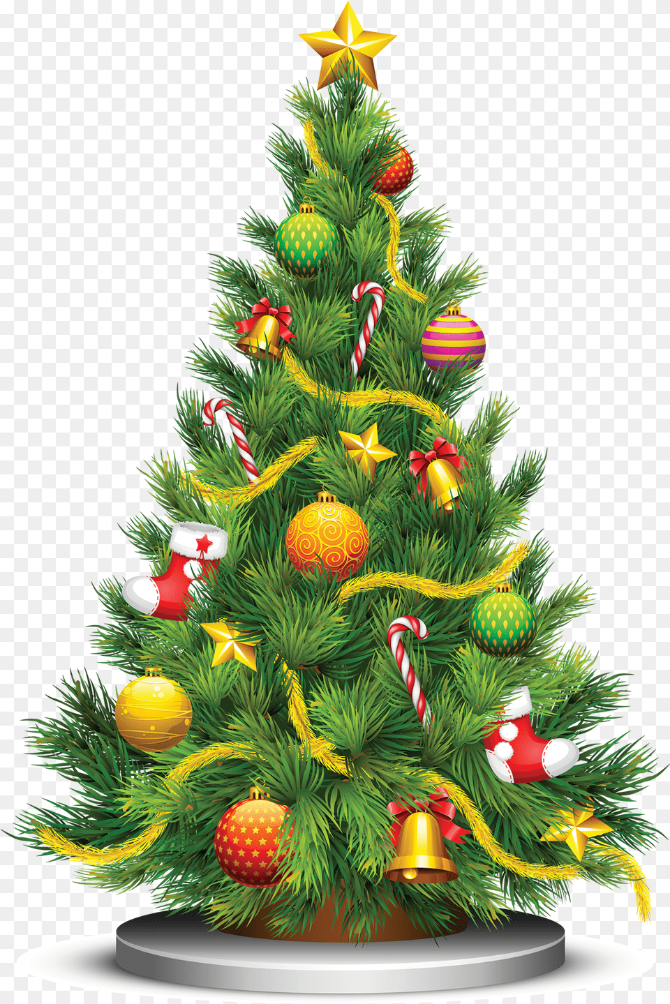Christmas Tree Vector, Plant, Christmas Decorations, Festival, Christmas Tree Png Image