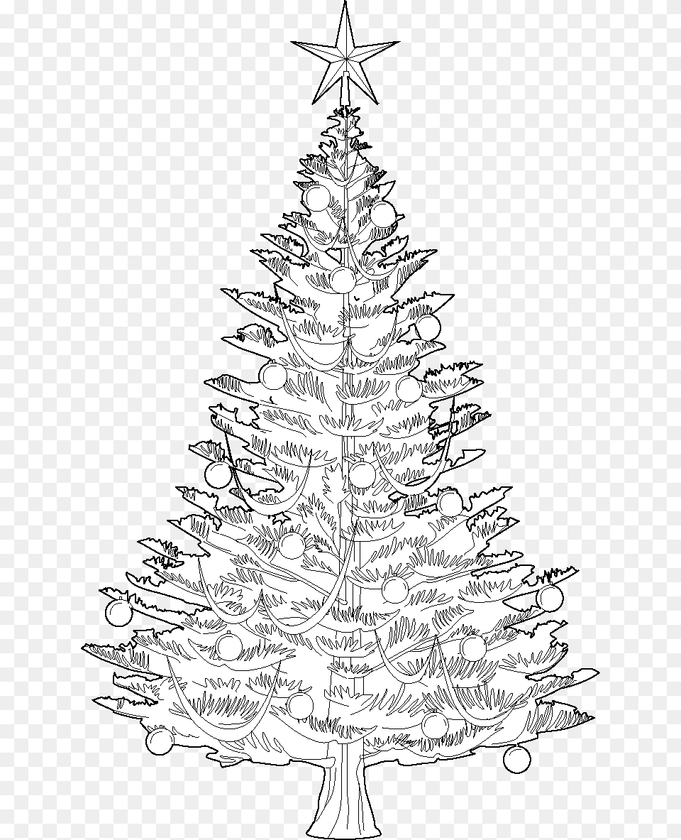 Christmas Tree Vector, Christmas Decorations, Festival, Christmas Tree, Plant Png Image