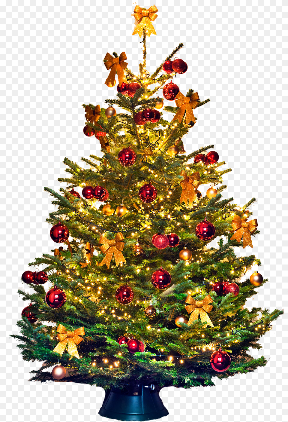 Christmas Tree Vector Christmas Tree, Plant, Christmas Decorations, Festival, Christmas Tree Free Png Download
