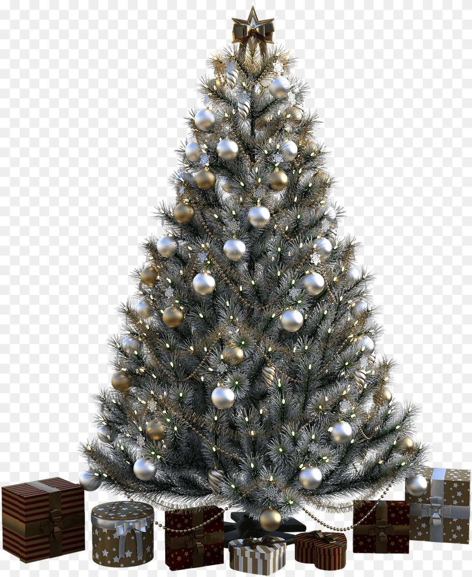 Christmas Tree Vintage Farmhouse Christmas Tree, Plant, Christmas Decorations, Festival, Christmas Tree Free Transparent Png