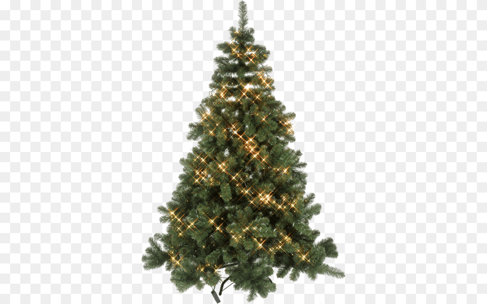 Christmas Tree W Led Cluster Home Depot Christmas Trees, Plant, Pine, Christmas Decorations, Festival Png