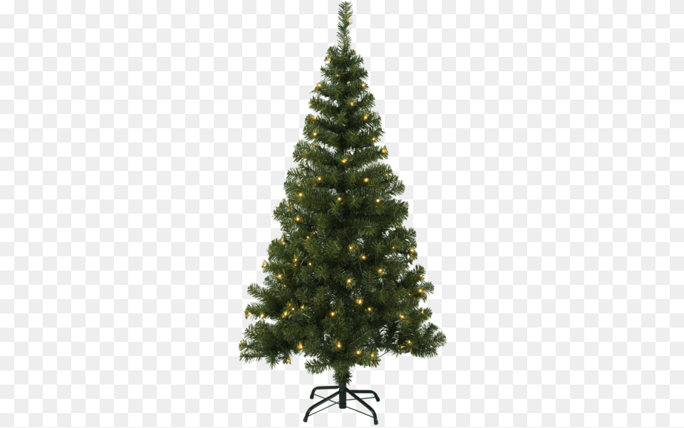 Christmas Tree W Led Ottawa Pre Lit Christmas Tree, Plant, Pine, Christmas Decorations, Festival Free Transparent Png