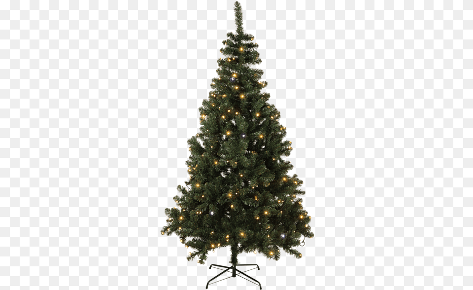 Christmas Tree W Led Twinkle Tree Evergreen Tree No Background, Plant, Fir, Festival, Christmas Decorations Png