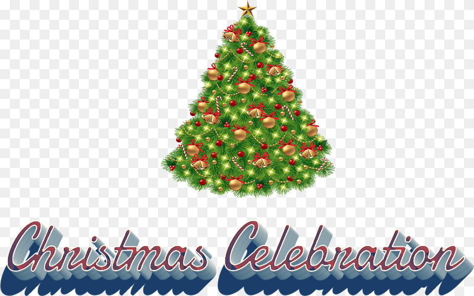 Christmas Tree With Bells, Plant, Christmas Decorations, Festival, Christmas Tree Free Transparent Png
