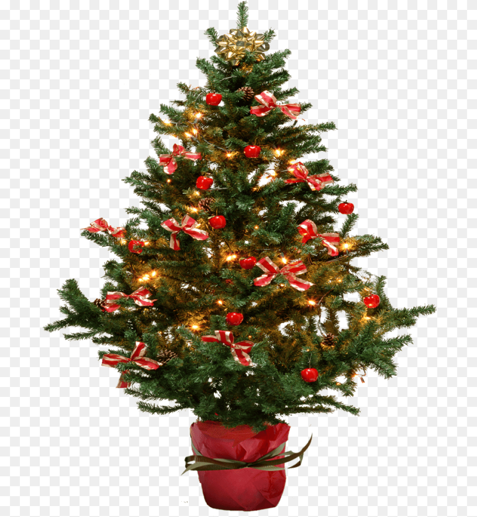 Christmas Tree With Bows Image Christmas Tree On Background, Plant, Christmas Decorations, Festival, Christmas Tree Free Transparent Png