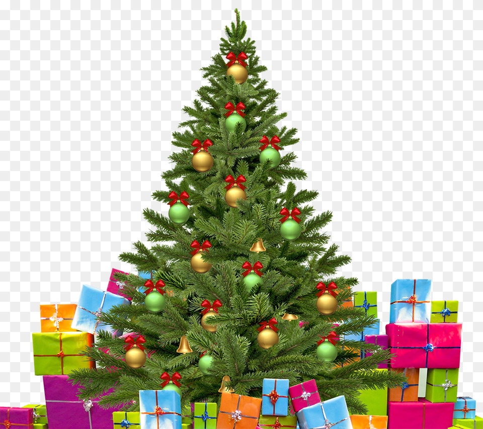 Christmas Tree With Gifts Advance Happy Christmas Wishes, Plant, Christmas Decorations, Festival, Pine Free Png Download