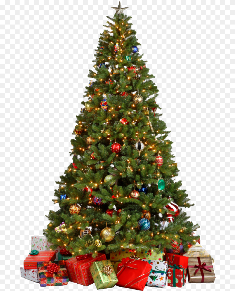 Christmas Tree With Gifts Plant, Christmas Decorations, Festival, Christmas Tree Png Image