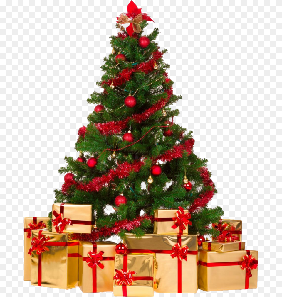 Christmas Tree With Gifts Image Christmas Tree Background, Plant, Christmas Decorations, Festival, Christmas Tree Free Transparent Png