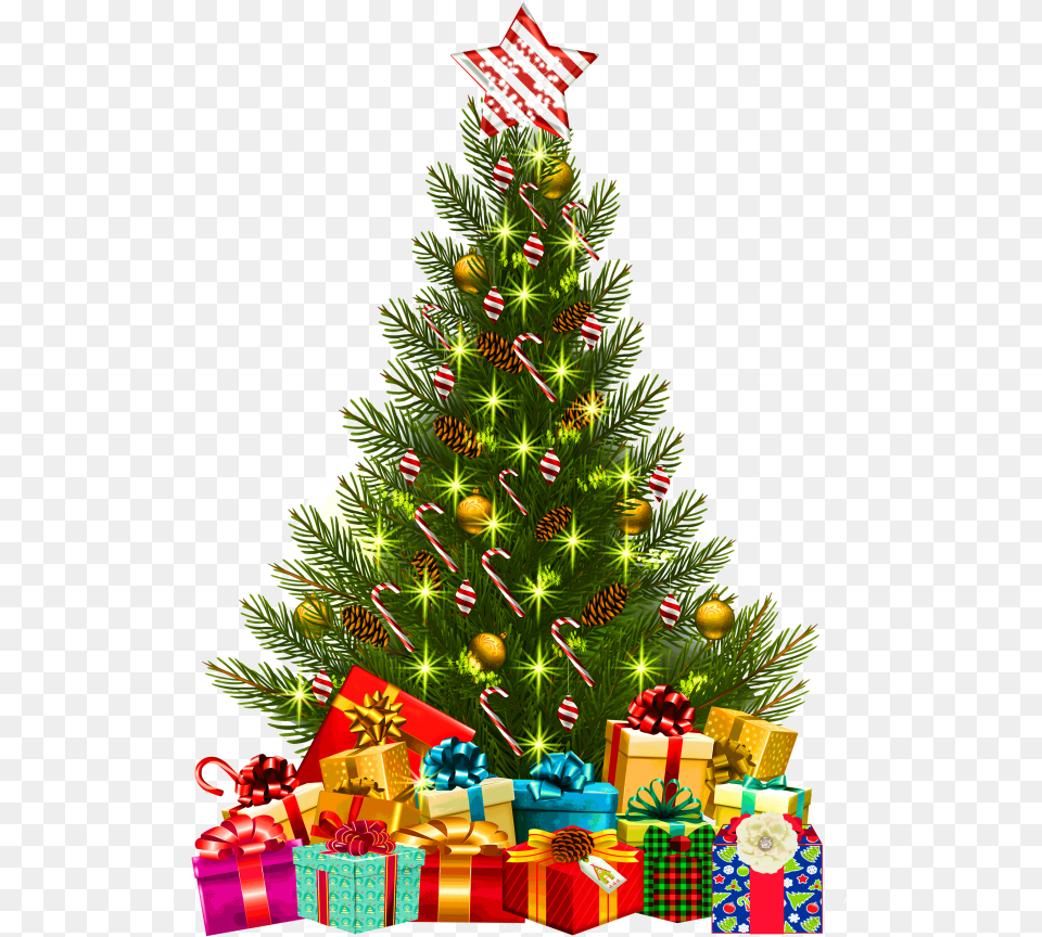 Christmas Tree With Lights Christmas Tree, Plant, Christmas Decorations, Festival, Christmas Tree Png Image
