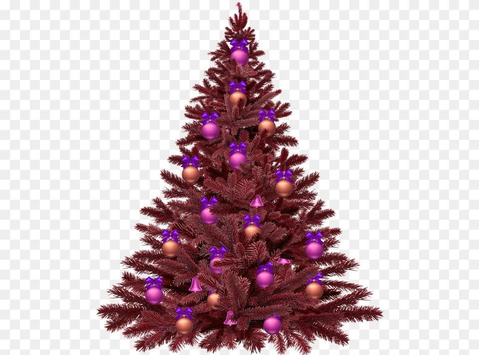 Christmas Tree With Lights Purple Christmas Tree, Plant, Christmas Decorations, Festival, Christmas Tree Png