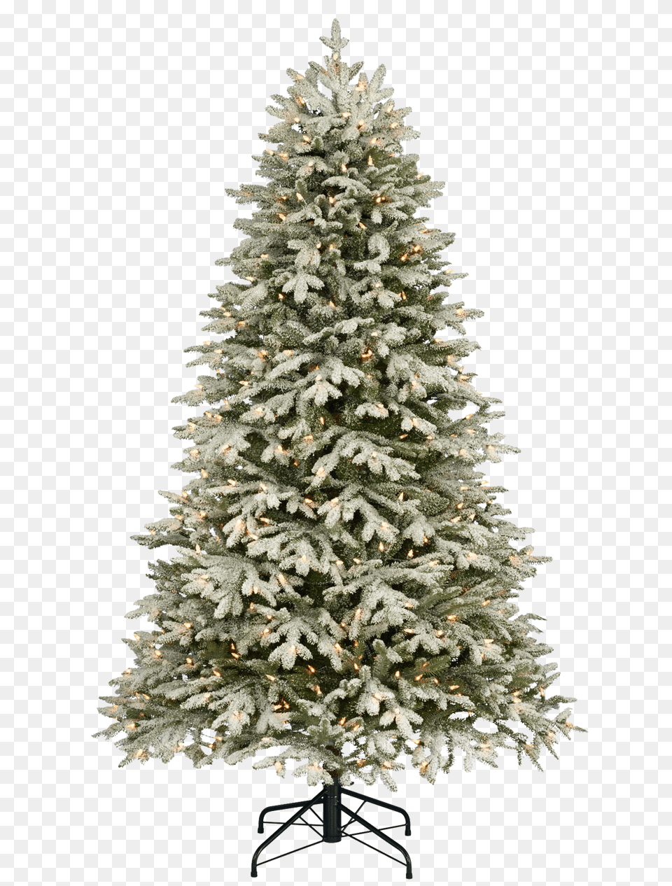 Christmas Tree With Snow Image Different Types Of Christmas Trees, Plant, Pine, Christmas Decorations, Festival Free Png
