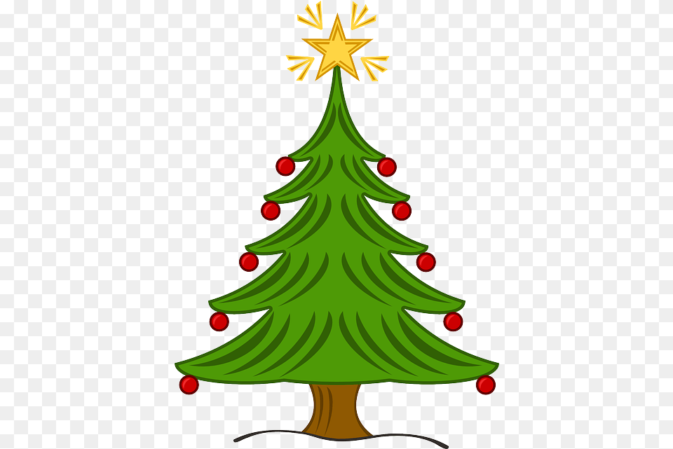Christmas Tree X Holly, Plant, Christmas Decorations, Festival, Christmas Tree Free Png