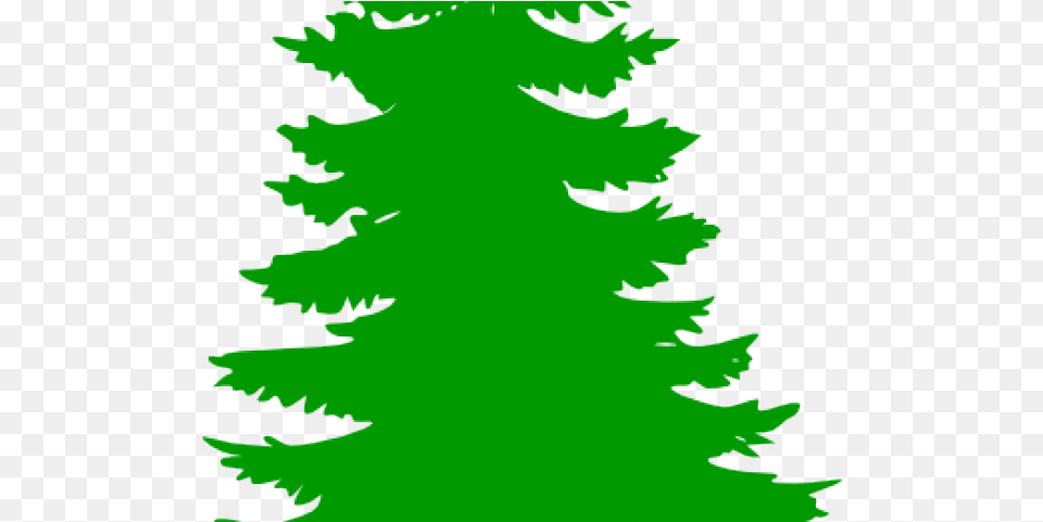 Christmas Trees Black, Fir, Pine, Plant, Tree Free Png Download