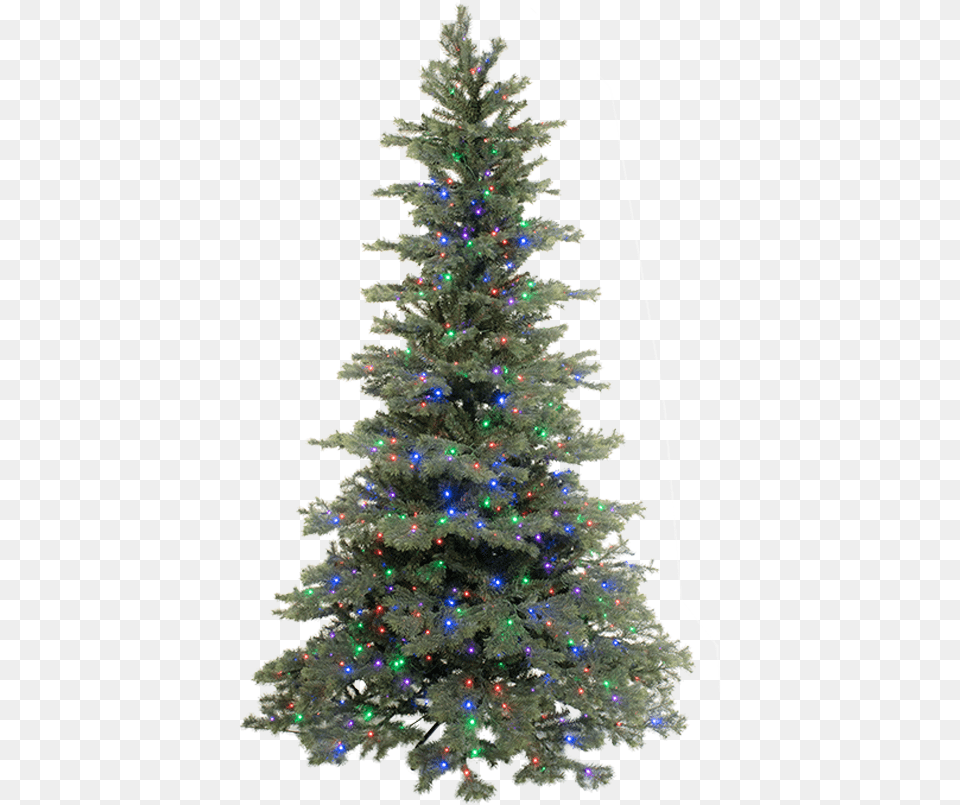 Christmas Trees Madrid, Plant, Tree, Christmas Decorations, Festival Free Png Download