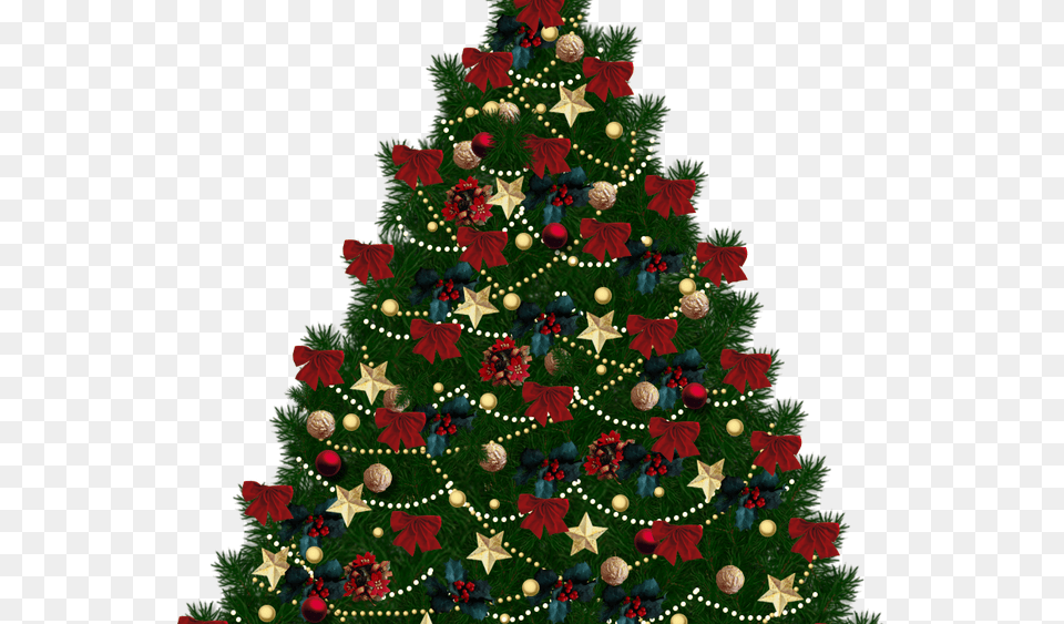 Christmas Trees Transparent Background, Plant, Tree, Christmas Decorations, Festival Free Png