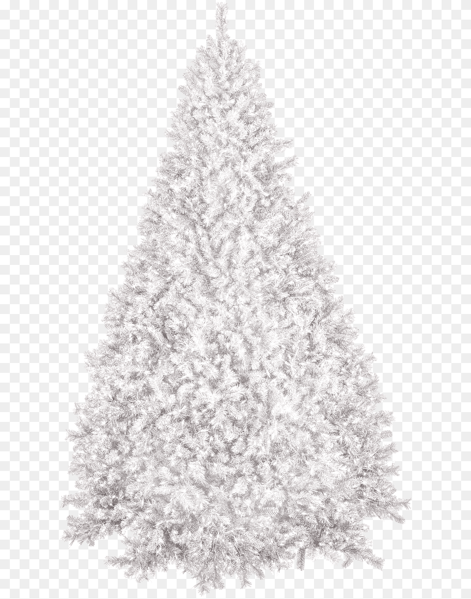 Christmas Treewinternew Year S, Tree, Plant, Fir, Festival Png
