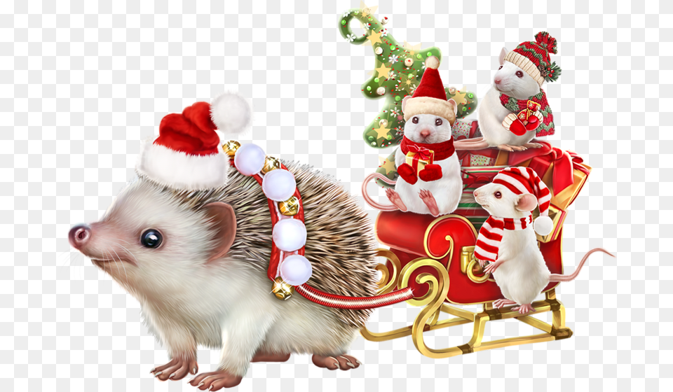 Christmas Tubes Psp, Animal, Hedgehog, Mammal, Rat Png Image