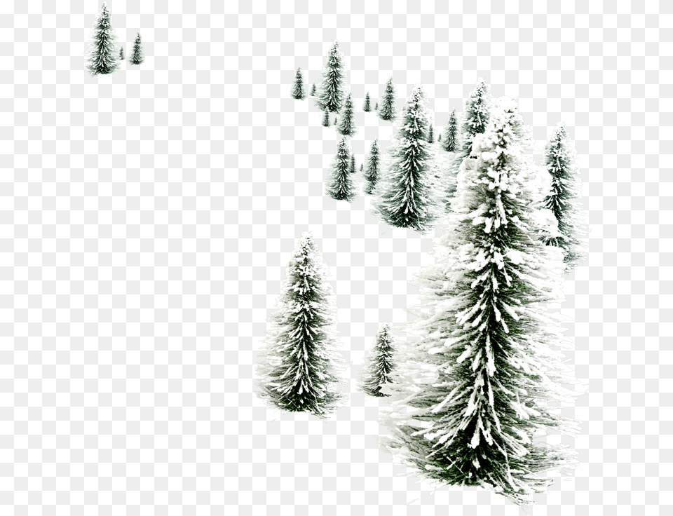 Christmas Wallpaper Hd Snowmen, Fir, Pine, Plant, Tree Free Png