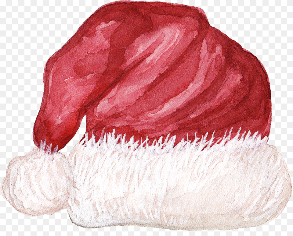 Christmas Watercolor Of Santa Hat, Flower, Petal, Plant, Food Png Image