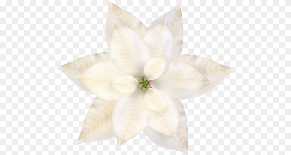 Christmas White Poinsettia Clip Art Natal Artificial Flower, Leaf, Petal, Plant, Dahlia Png