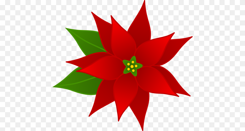 Christmas Winter S, Leaf, Dahlia, Flower, Plant Png Image