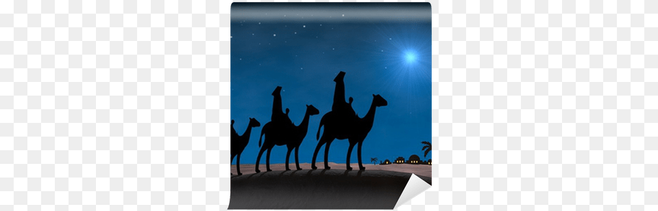 Christmas Wise Men, Animal, Camel, Mammal, Silhouette Png Image