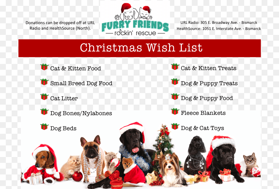 Christmas Wish List Dogs And Cats Christmas, Animal, Canine, Pet, Dog Free Png Download