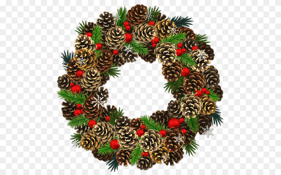 Christmas Wreath, Plant, Tree Free Transparent Png