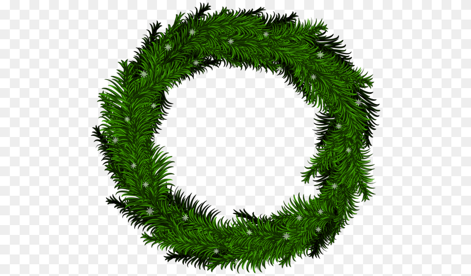 Christmas Wreath, Green, Plant, Tree Png
