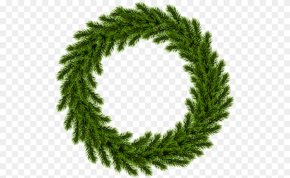 Christmas Wreath, Green, Plant, Tree, Vegetation Png