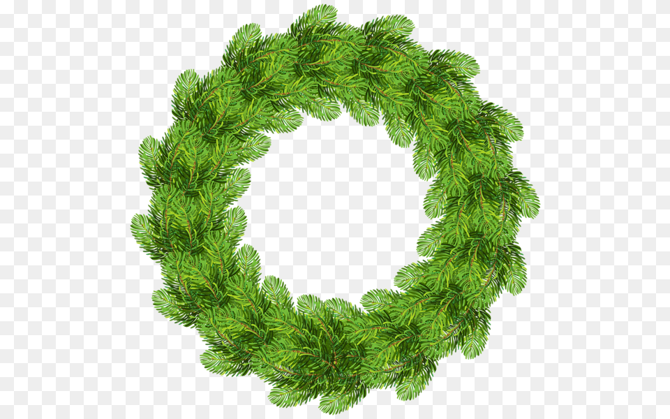 Christmas Wreath, Green, Plant, Leaf, Tree Free Transparent Png