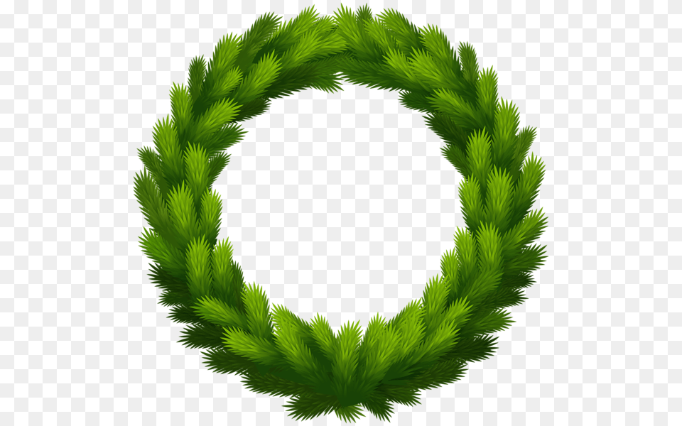 Christmas Wreath, Green, Plant Free Png Download