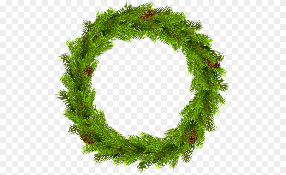 Christmas Wreath, Plant, Green Png