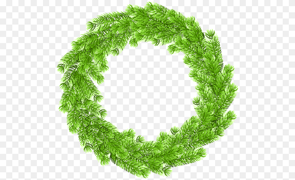 Christmas Wreath, Green, Plant, Tree, Leaf Free Png