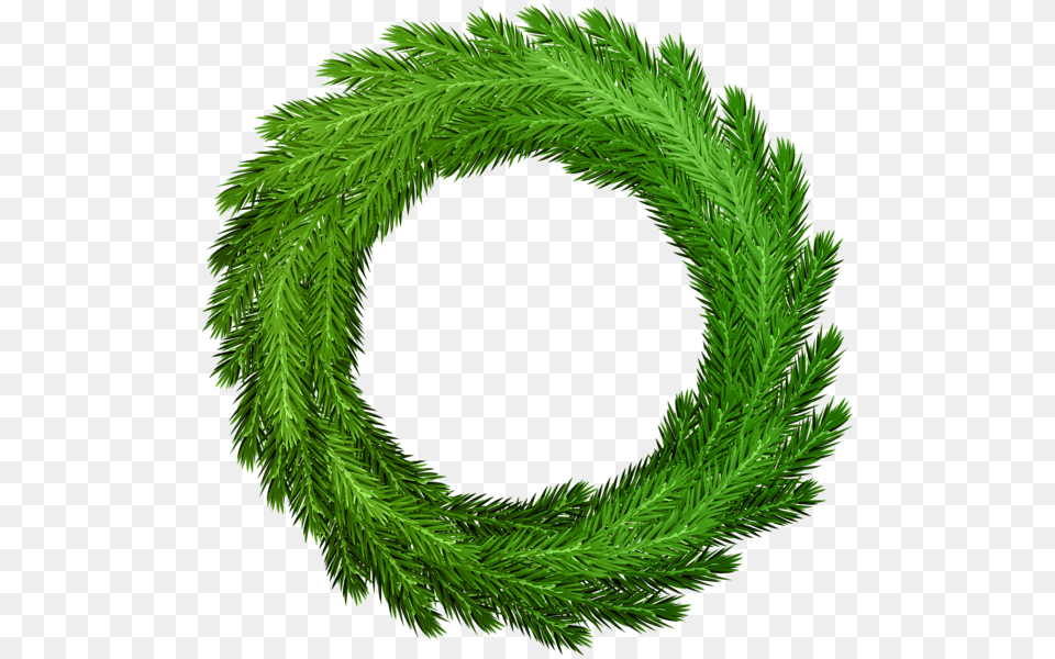 Christmas Wreath, Green, Plant, Tree Free Png Download