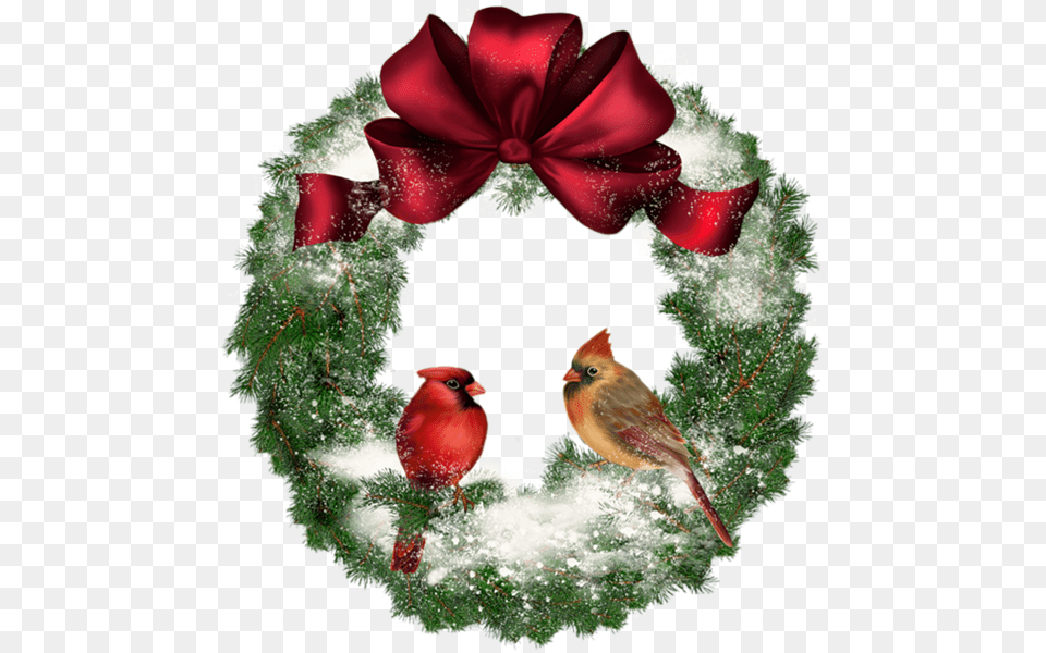 Christmas Wreath, Animal, Bird Png