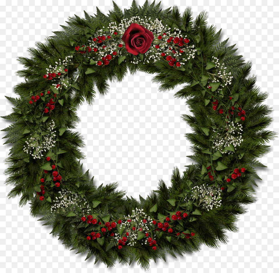 Christmas Wreath Available In Different Size Maya Angelou Christmas Poem, Plant, Flower, Rose Free Png Download