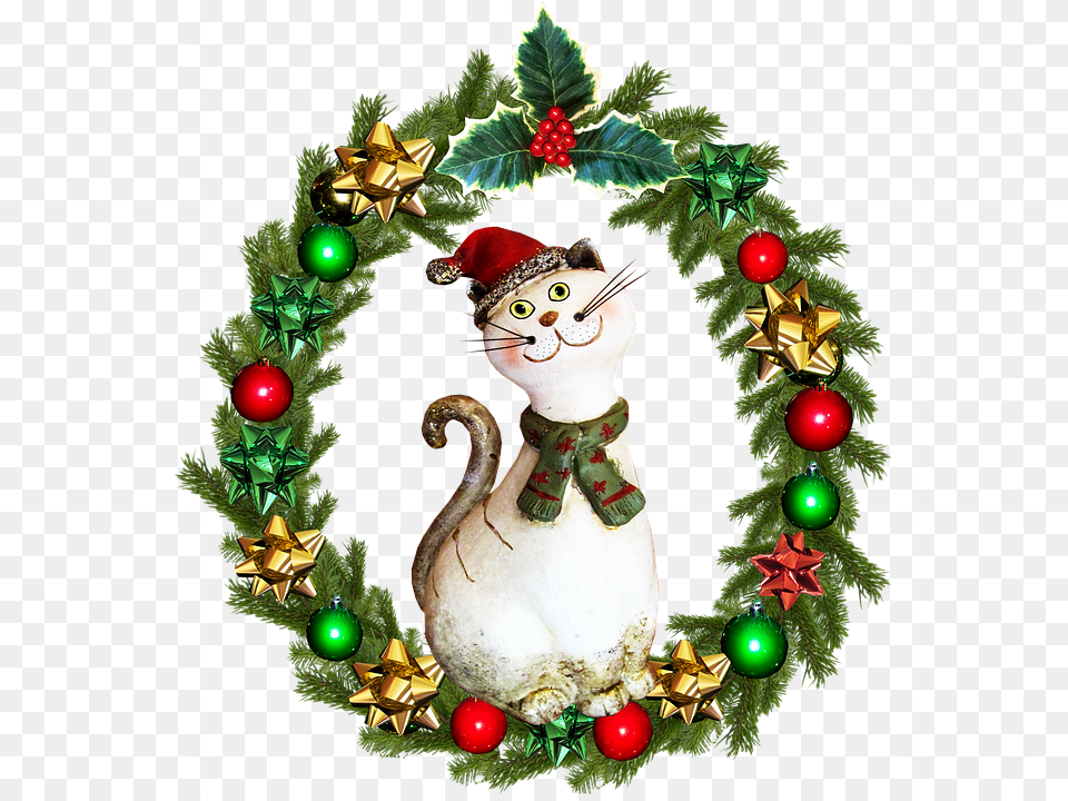 Christmas Wreath Cat Cat Wreath Christmas, Face, Head, Person Free Png Download