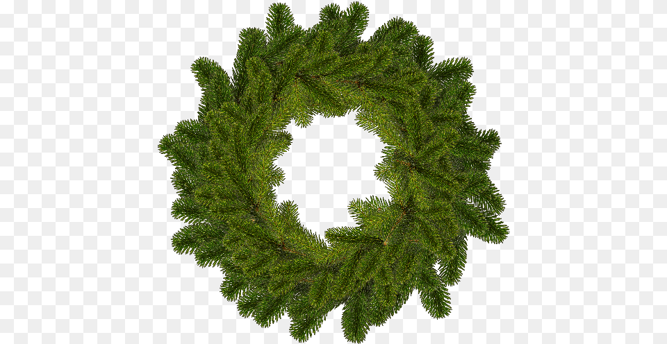 Christmas Wreath Circle, Plant, Tree Png Image