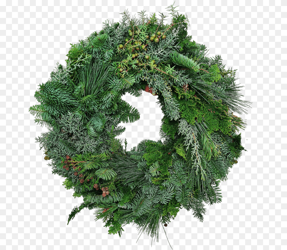 Christmas Wreath Hand Bound Wreath, Plant Free Png Download