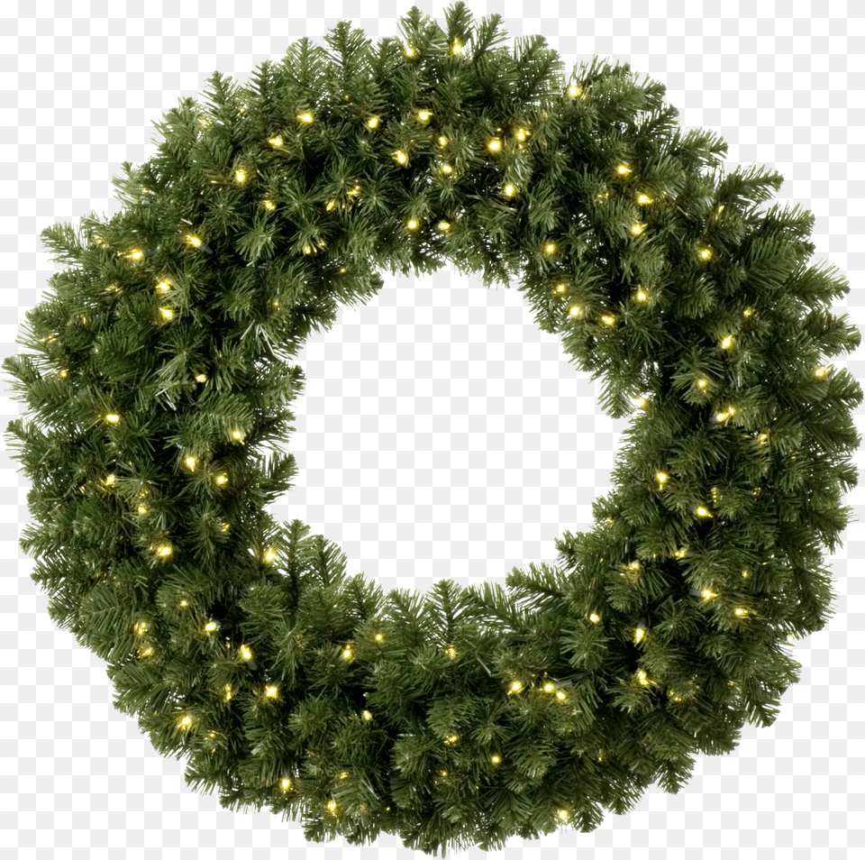 Christmas Wreath Photo Christmas Wreath Lights, Flower, Flower Arrangement, Plant, Flower Bouquet Png Image