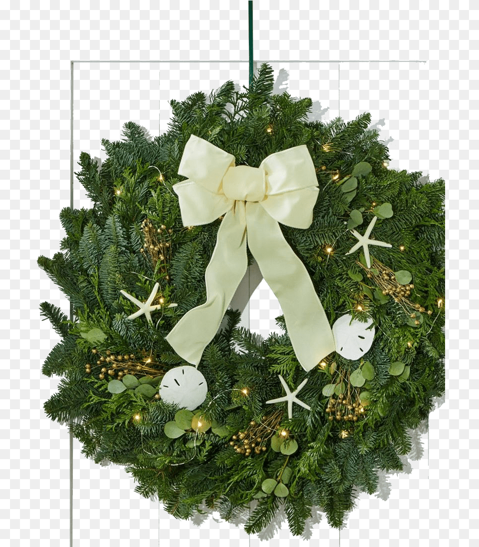 Christmas Wreath Pic Wreath, Christmas Decorations, Festival, Plant, Person Free Png
