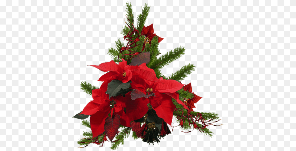 Christmas Wreath Poinsettia Red Sticker By Kayoss For Holiday, Flower, Flower Arrangement, Leaf, Plant Png