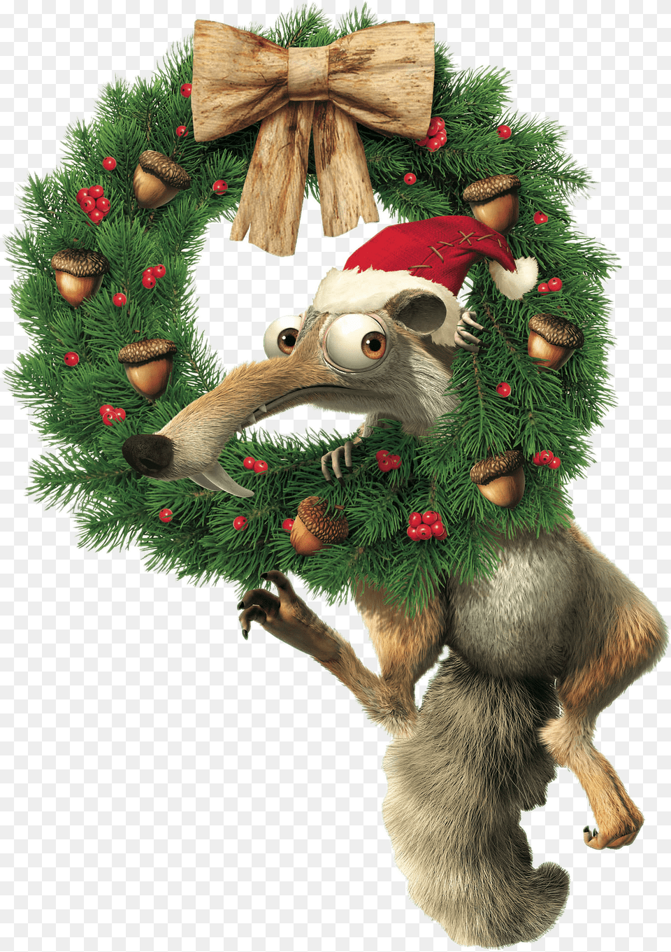 Christmas Wreath Transparent, Animal, Bird Png